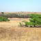 Rezerwat Natury  - Pretoria, RPA