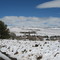 Snow southwest of Barkly East, looking south
