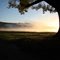 Misty Sunrise