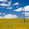 Freestate