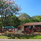Residential area with pink blooming trees