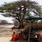 roadside fruit vendor