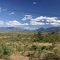 Mpumalanga, South Africa, 16-07-2006