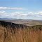 1991, view north from R 61.