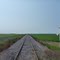 Tracks to forever. August 2010.