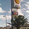 Shell At Karoo Desert