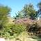 Wolseley (RSA), Garden of Restaurant "The Mill & Oaks"