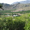 Citrusdal