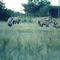 Scan000080