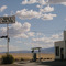 Empire Store Bat Country
