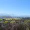 Clanwilliam