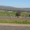 South African Cemetery: Graveyard At Vineyard
