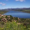 Clanwilliam dam