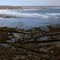 Khoisan Fish Traps @ low tide