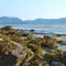 Rocks in the Kelp at Low Tide