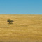 The vastness of Africa