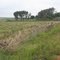 Roadside near Delmas