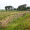 Roadside near Delmas