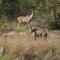 Boundless Southern Africa