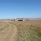 Chelmsford African farm