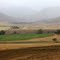 Misty Rural Kokstad