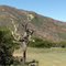 Bedrogfontein Natur pur
