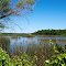 Greer Island