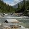 Crevice Creek