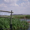 Marievale bridge