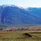 Matroosberg 1983