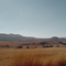 DSC03456-1