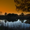 Dam @ Dullstroom