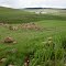 Die Berg Road, Dullstroom
