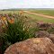 Aloes, Die Berg Road, Dullstroom