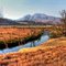 Berg Stream.