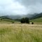 Looking west across the Mlambonja River