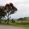 Estcourt below in the valley