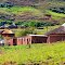 Drakensberge, Cathedral Peak, Eastern Cape,  South Africa