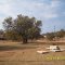 GaManoke, July 2013