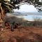 Shakaland