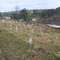 1879Anglo Zulu War Graves