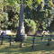 In Memory Of those who fell in the 1906 Zulu Rebellion