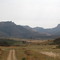 Farm road east of Elliot