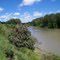 the Wilge river at Frankfort