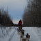 Dogsledding near Stirling, February 2008