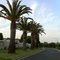 Durbanville Hills