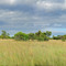Kwalata Game Reserve