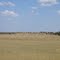 Piet Joubert Rifle Range at the 800 metre mark