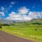 Drakensberge, Cathedral Peak, Eastern Cape,  South Africa
