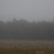 A misty morning in Nikiski, Alaska